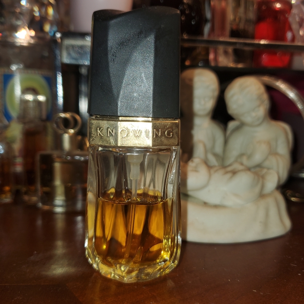 Knowing Estee Lauder